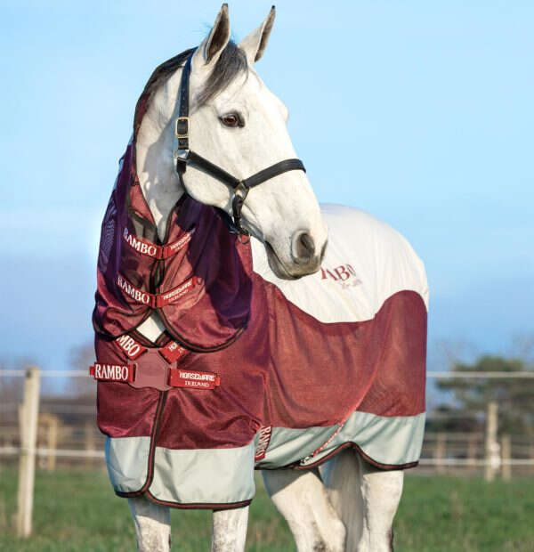 Horseware RAMBO Outdoordecke Übergang Summer Series